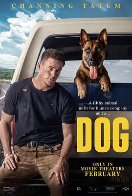 忠犬 Dog (2022)百度网盘资源-高清电影-推影坊