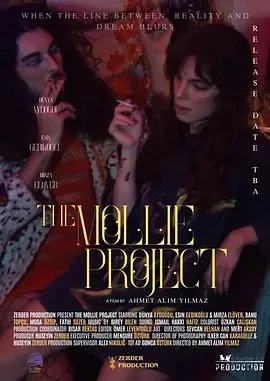 莫莉计划 The Mollie Project (2025)百度网盘1080P高清免费土耳其电影资源-推影坊