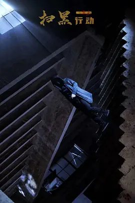 扫黑行动之黄金（2024）1080P百度网盘资源免费电影高清在线观看-推影坊