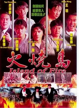火烧岛(1991)百度网盘1080P高清免费电影资源-推影坊