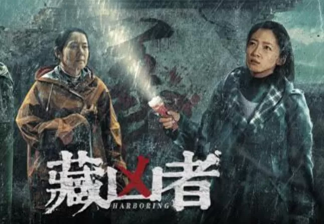 藏凶者（2023）1080P百度网盘资源免费电影高清在线观看-推影坊
