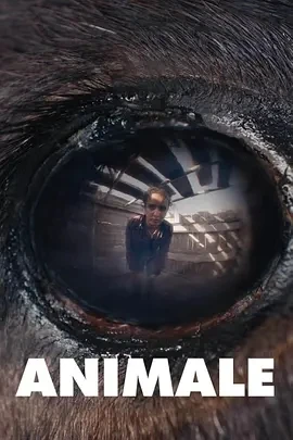 兽性 Animale (2024)百度网盘1080P高清免费法国电影资源-推影坊