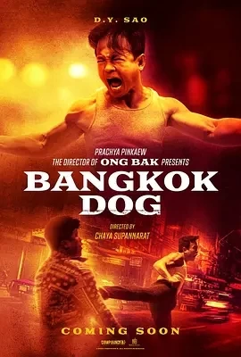 曼谷战狼 Bangkok Dog (2024)百度网盘1080P高清免费泰国电影资源-推影坊