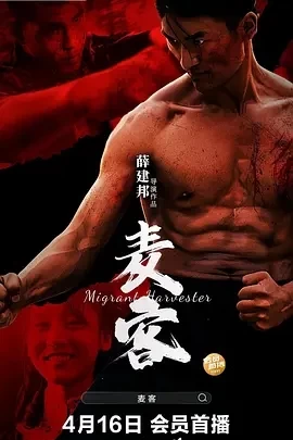 麦客（2024）1080P百度网盘资源免费电影高清在线观看-推影坊