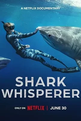 鲨语者 Shark Whisperer (2025)百度网盘1080P高清免费美国纪录片电影资源-推影坊