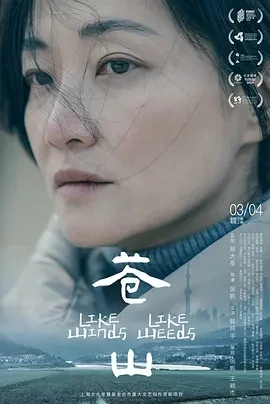 苍山 (2023)百度网盘1080P高清免费国产电影资源-推影坊