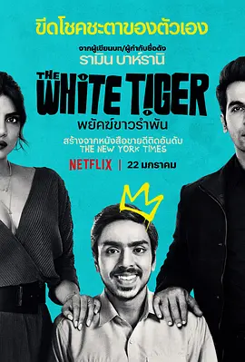 白虎 The White Tiger (2021)百度网盘资源-高清电影-推影坊