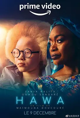 哈瓦（2022）百度网盘资源-高清电影-推影坊