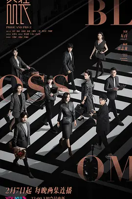 盛装 (2022)百度网盘资源-电视剧全29集-推影坊