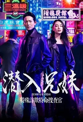 潜入兄妹 特殊诈欺特命搜查官 (2024)-全10集-百度网盘1080P高清免费日剧资源-推影坊