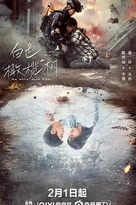 白色橄榄树 (2025)全38集-百度网盘1080P高清免费国产剧资源 - 推影坊-推影坊