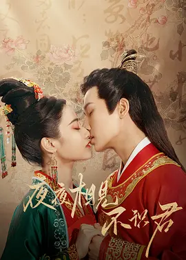 夜夜相见不识君（2023）百度网盘资源-国产剧更新中-推影坊