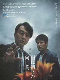 雨中消失的向日葵（2022）百度网盘资源-已完结-推影坊