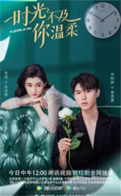 时光不及你温柔（2022）百度网盘资源-已完结-推影坊