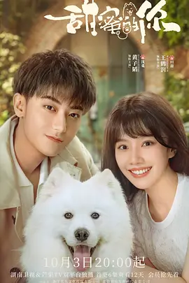 甜蜜的你（2023）1080P百度网盘资源国产剧全集免费高清在线观看-推影坊