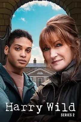 野探哈莉 第三季（2024）1080P百度网盘资源爱尔兰剧全集免费高清在线观看-推影坊