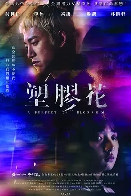 塑胶花（2024）1080P百度网盘资源国产剧全集免费高清在线观看 - 推影坊-推影坊