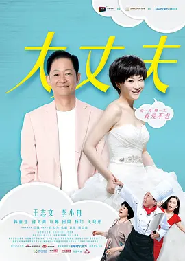 大丈夫 (2014)百度网盘资源-电视剧全48集-推影坊