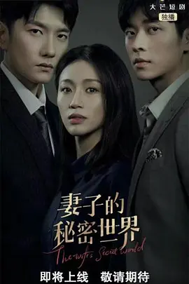妻子的秘密世界（2022）百度网盘资源-已完结 - 推影坊-推影坊