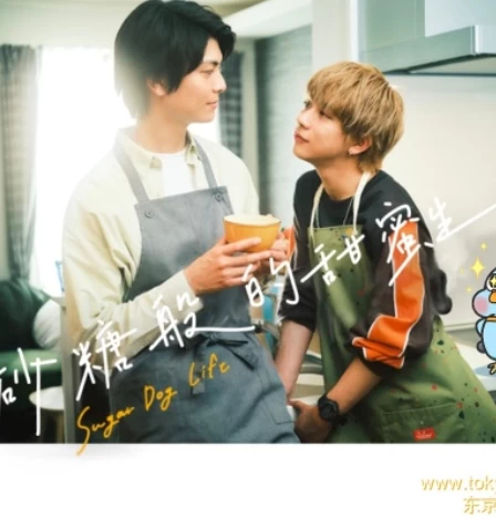 如砂糖般的甜蜜生活(2024)全9集-百度网盘1080P高清免费日剧资源 - 推影坊-推影坊