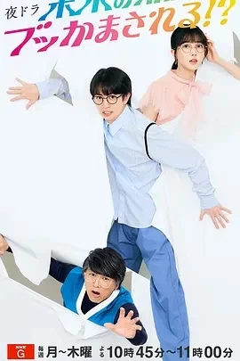 被未来的自己愚弄(2024)更至32集-百度网盘1080P高清免费日剧资源 - 推影坊-推影坊