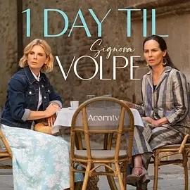 狐狸女士 第二季（2024）1080P百度网盘资源英剧全集免费高清在线-推影坊