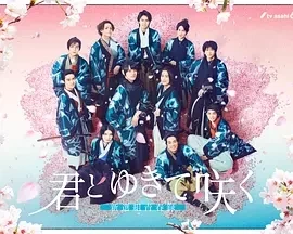 与你一起绽放∽新选组青春录～（2024）1080P百度网盘资源日剧韩集免费高清在线观看 - 推影坊-推影坊