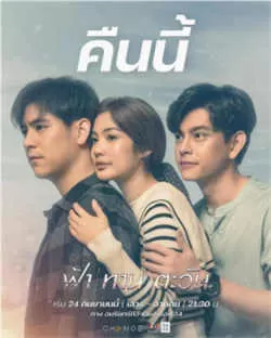 天食向日葵 （2022）百度网盘资源-泰剧更新中-推影坊