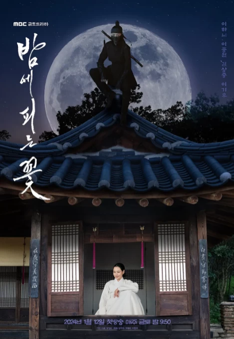 夜晚开的花（2024）1080P百度网盘资源韩剧全集免费高清在线观看 - 推影坊-推影坊