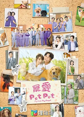 宠爱Pet Pet（2023）1080P百度网盘资源国产剧全集免费高清在线观看-推影坊