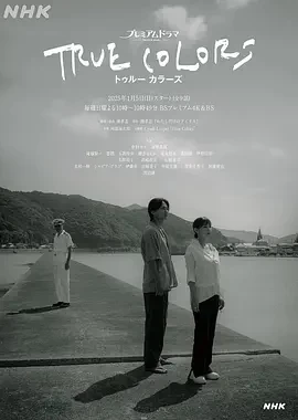本色 (2025)全9集-百度网盘1080P高清免费日剧资源 - 推影坊-推影坊