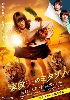 家政夫三田园7 (2025)更至09集-百度网盘1080P高清免费日剧资源