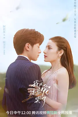 我被沐总宠哭了（2023）百度网盘资源国产剧免费高清在线观看-推影坊