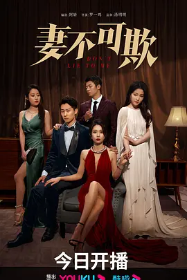 妻不可欺（2023）百度网盘资源国产剧全集免费高清在线观看-推影坊