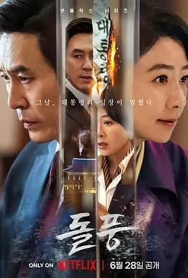 政坛旋风（2024）1080P百度网盘资源韩剧全集免费高清在线观看 - 推影坊-推影坊