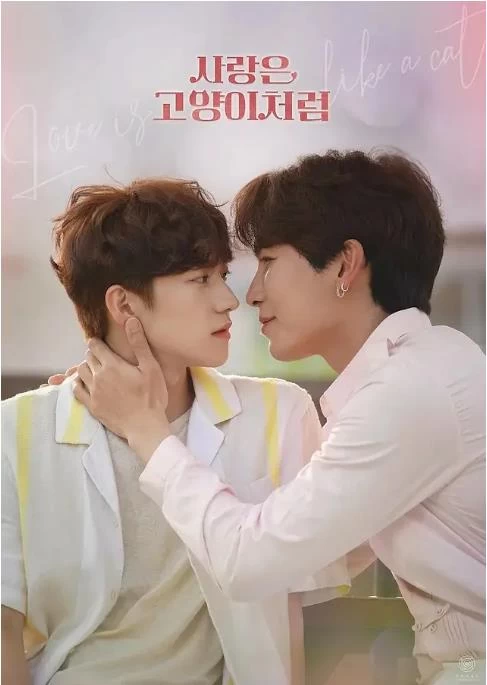 爱情像猫一样（2024）1080P百度网盘资源韩剧全集免费高清在线观看-推影坊