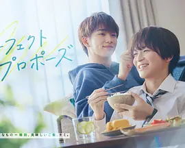 完美求婚（2024）1080P百度网盘资源日剧全集免费高清在线观看 - 推影坊-推影坊