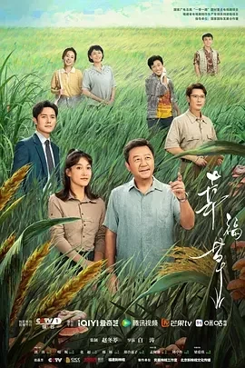幸福草（2024）1080P百度网盘资源国产剧全集免费高清在线观看-推影坊