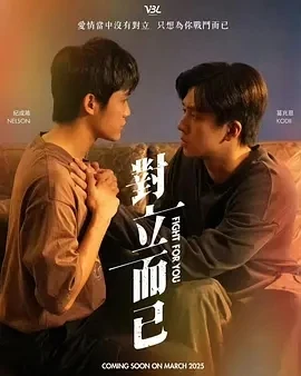 对立而已 (2025)全12集-百度网盘1080P高清免费台剧资源 - 推影坊-推影坊