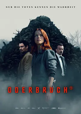 奥德布鲁赫（2024）1080P百度网盘资源德剧全集免费高清在线观看-推影坊