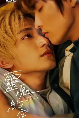 灵魂约定 (2025)全12集-百度网盘1080P高清免费台剧资源-推影坊