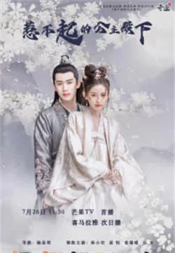 惹不起的公主殿下 （2022）百度网盘资源-国产剧已完结-推影坊