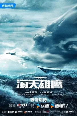 海天雄鹰（2024）1080P百度网盘资源国产剧全集免费高清在线观看 - 推影坊-推影坊