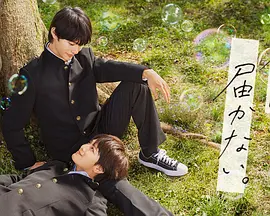 无法传达给你（2023）1080P百度网盘资源日剧全集免费高清在线观看-推影坊