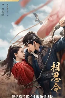 相思令 (2025)全30集-百度网盘1080P高清免费国产剧资源 - 推影坊-推影坊