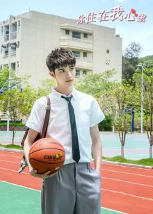 你住在我心里（2023）1080P百度网盘资源国产剧全集免费高清在线观看-推影坊