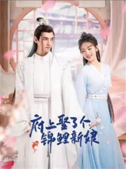 府上娶了个锦鲤新娘（2022）百度网盘资源-已完结 - 推影坊-推影坊