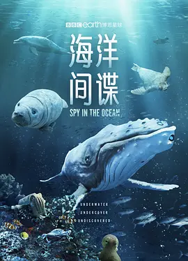海洋间谍（2023）1080P百度网盘资源纪录片全集免费高清在线观看-推影坊