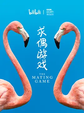 求偶游戏(2021)-网盘资源-纪录片全5集 - 推影坊-推影坊