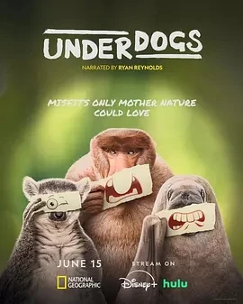 失败者 Underdogs (2025)百度网盘1080P高清免费美国纪录片资源-推影坊